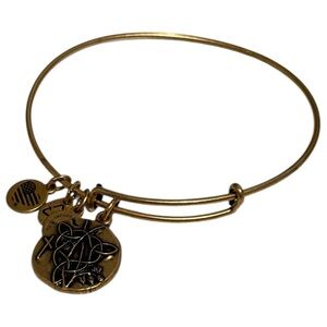 Alex and Ani Vine Charm Expandable Bangle‎ Rafaelian Gold Finish Bracelet 2015